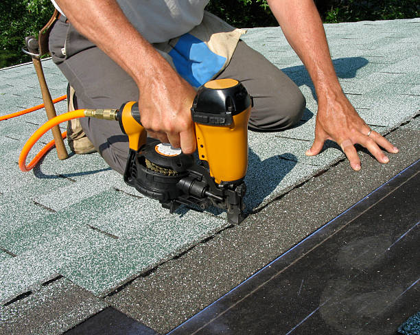 Best Roof Gutter Cleaning  in Mcdonough, GA